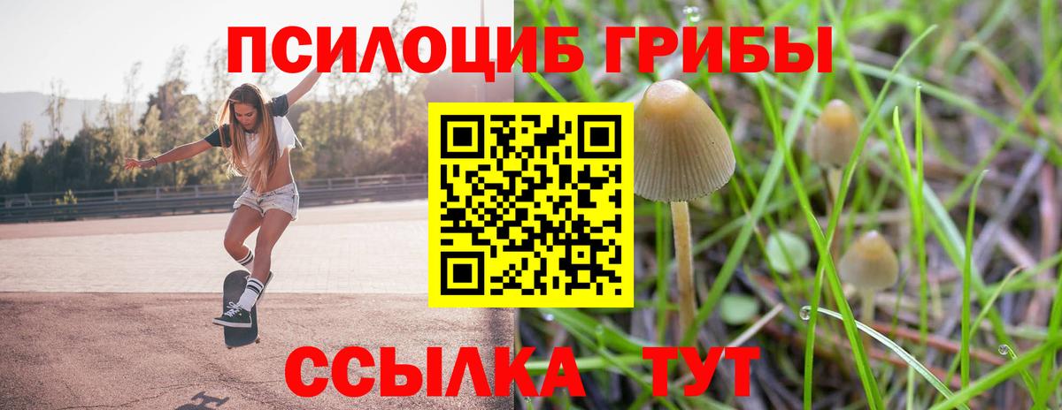 Псилоцибиновые грибы мухоморы  Вход с VPN  Псилоцибиновые грибы Magic Shrooms  Саянск 